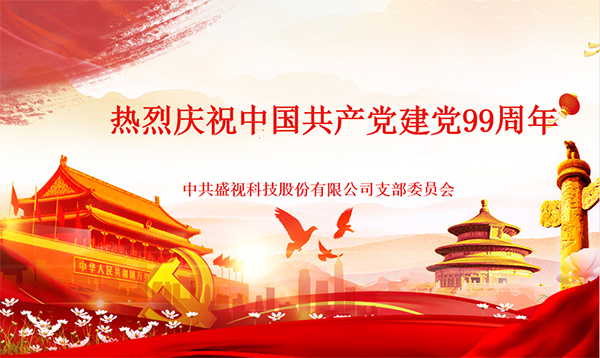 盛视党建动态|玩彩(中国)wancai·官方网页版,党组织开展庆祝建党99周年主题党日活动